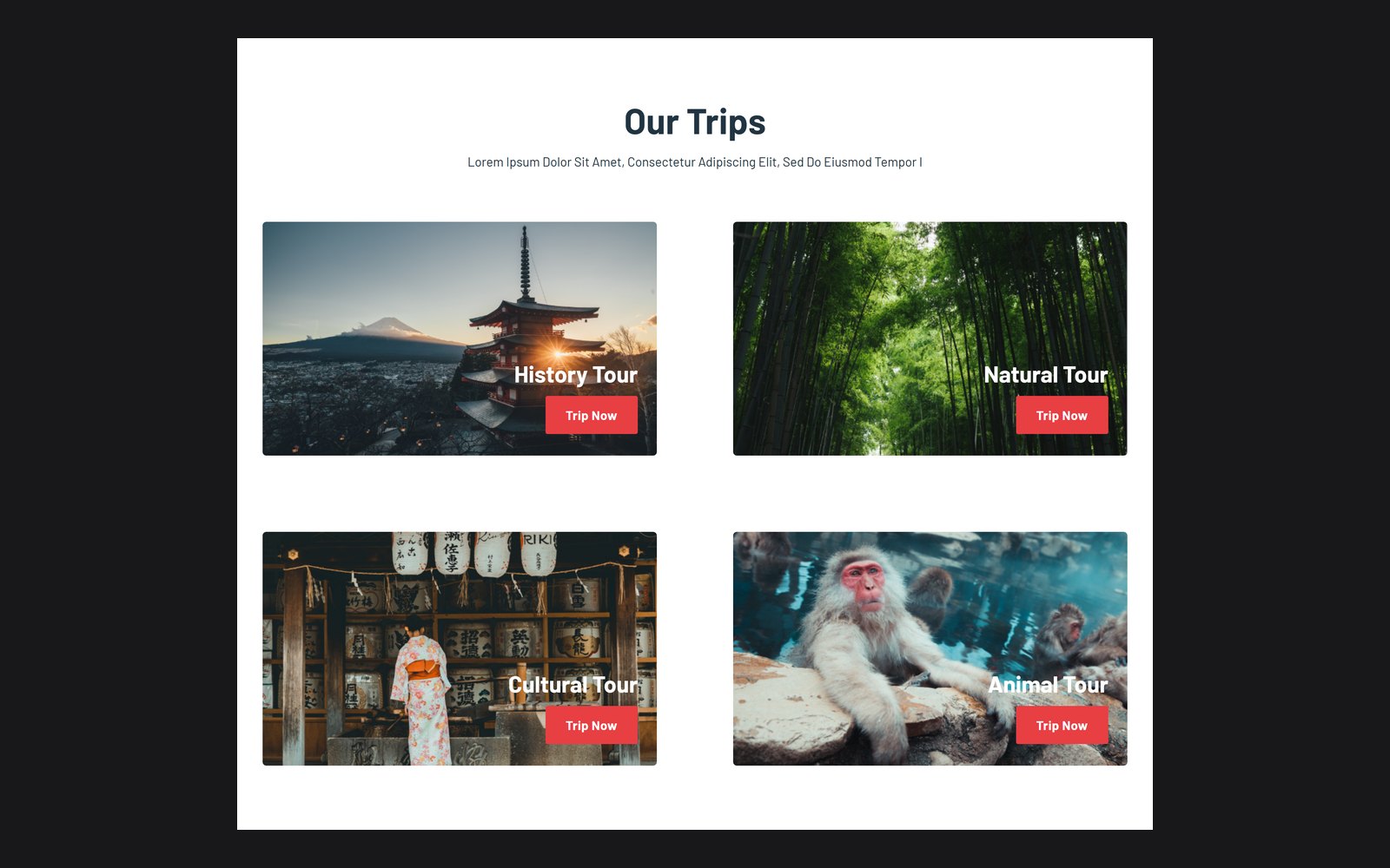 Section « Our trips » : quatre cartes de circuit en grille de deux par deux, chacune avec son titre et son bouton posés en bas de la photo.