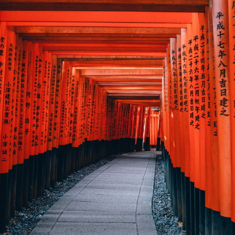 Fushimi Inari