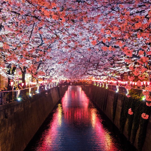 Meguro river